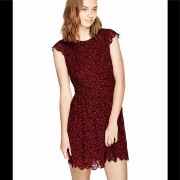 Aritzia Wilfred Talula Belgravia Lace Mini Dress Lined Back Zip Cap Sleeves Crew - Picture 16 of 16